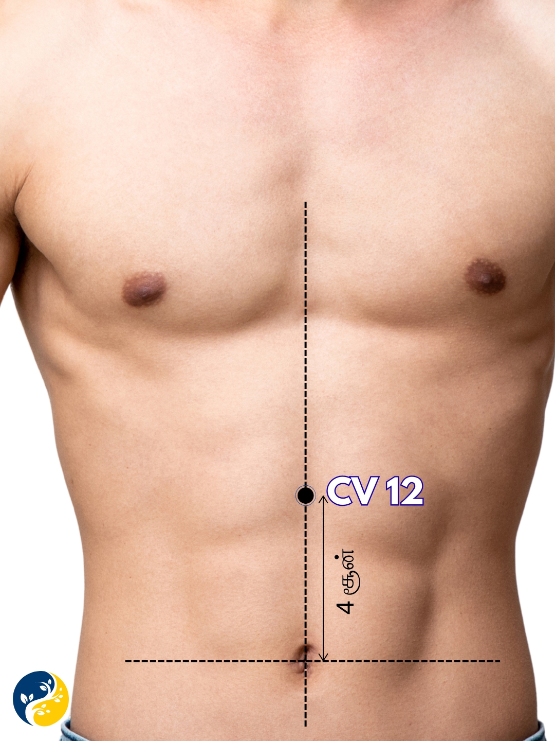 CV12 acupuncture point