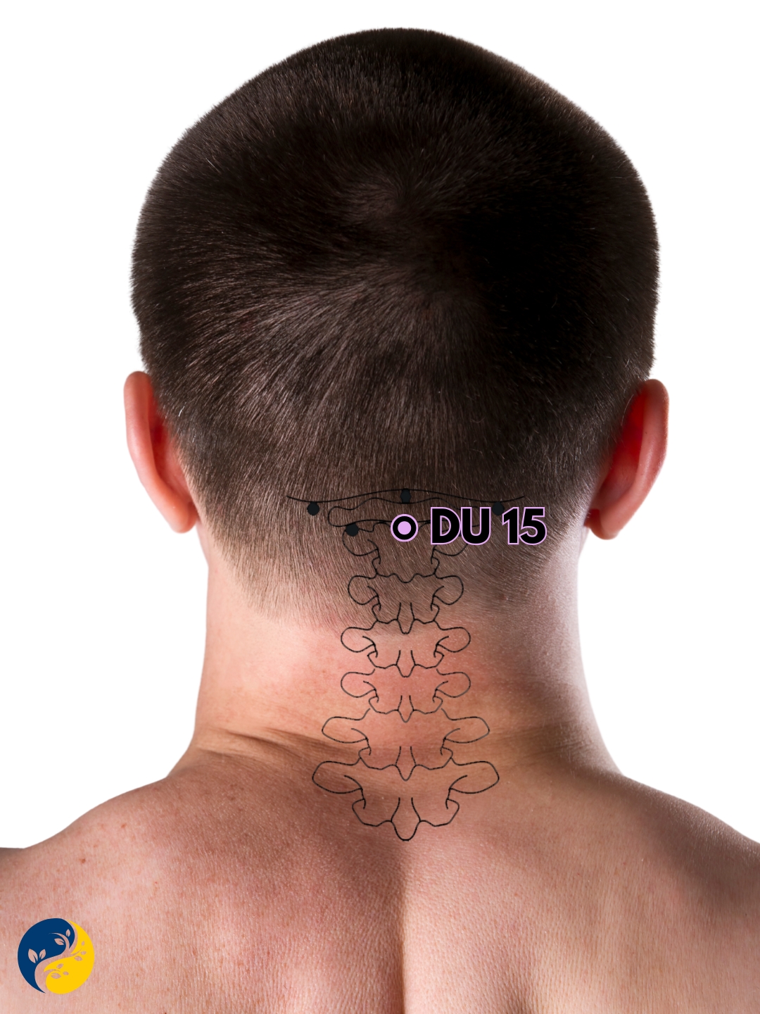 DU15 acupuncture point