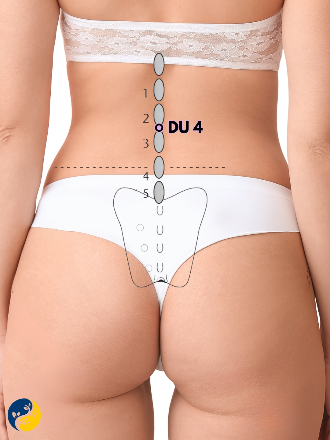 DU4