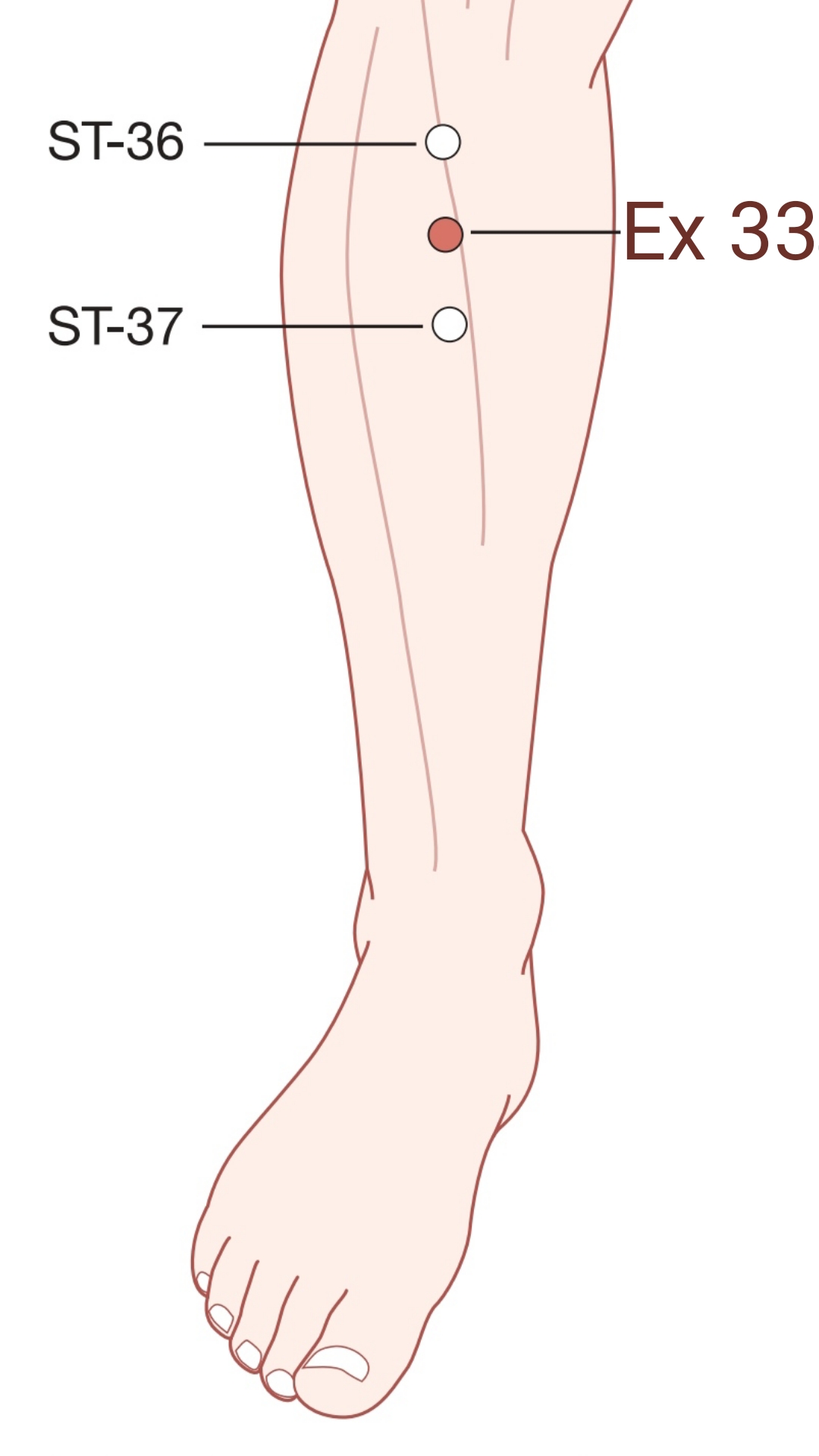 EX33 acupuncture point