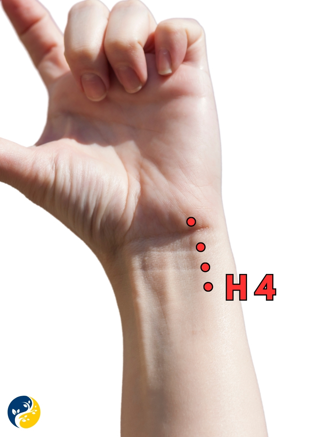 H4 acupuncture point