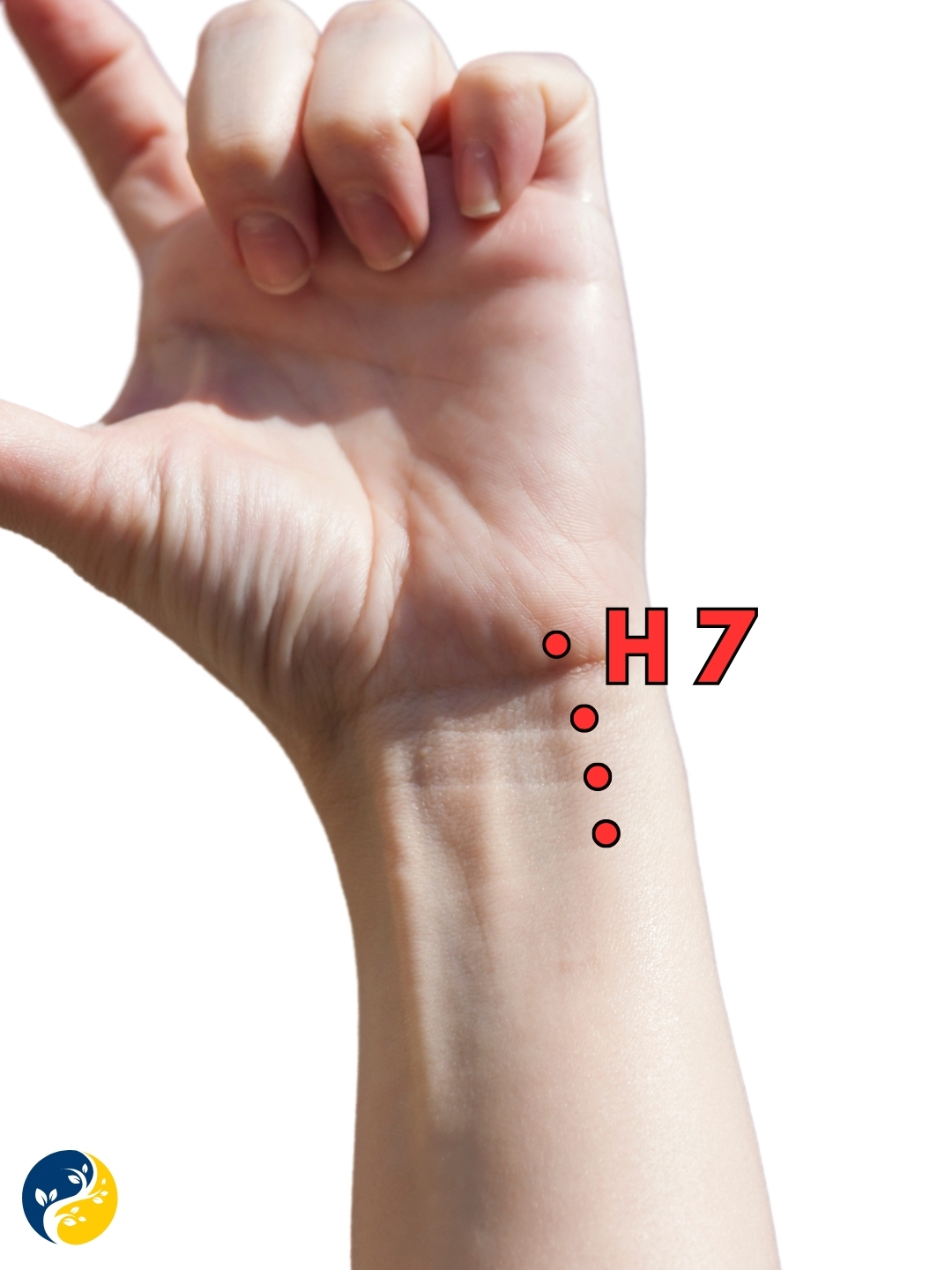 H7 acupuncture point