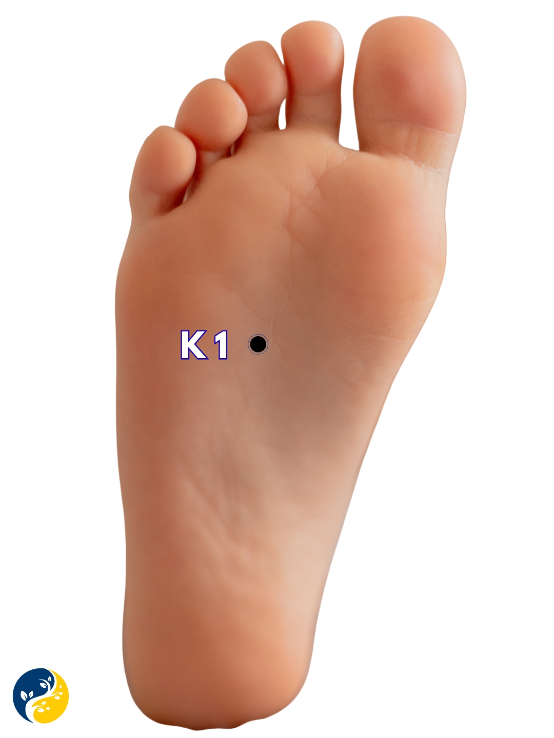 K1 acupuncture point