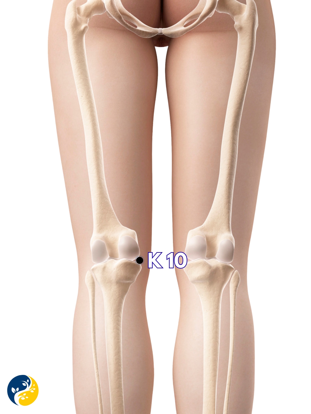 K10 acupuncture point