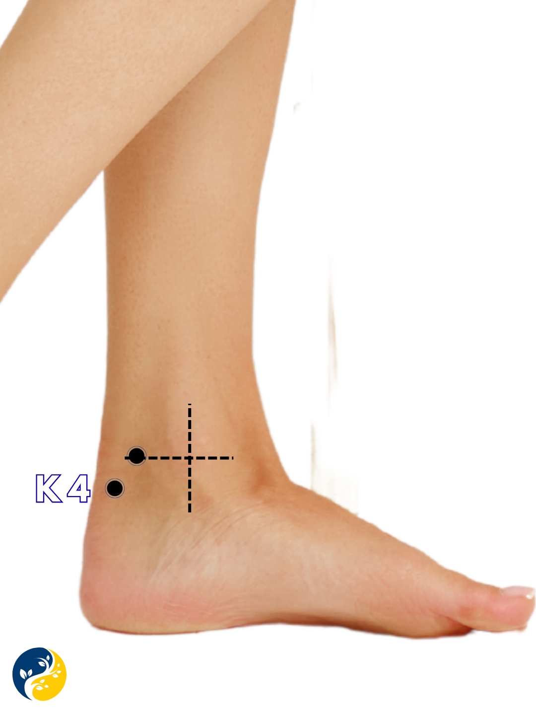 K4 acupuncture point