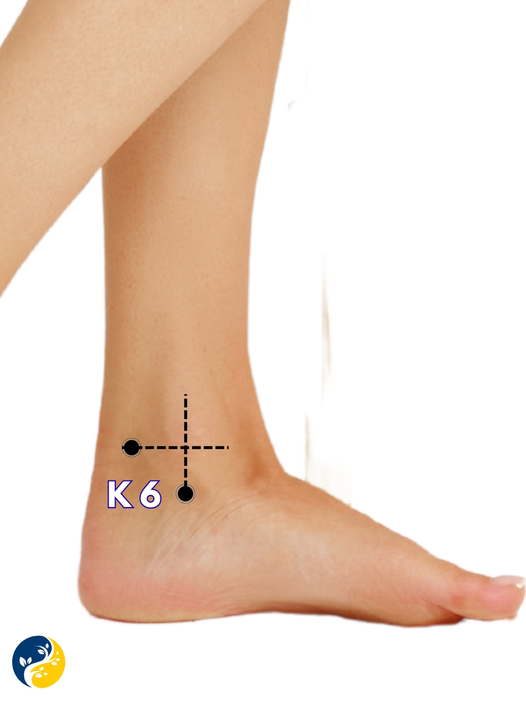 K6