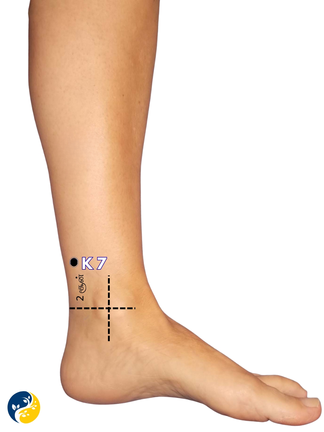 K7 acupuncture point