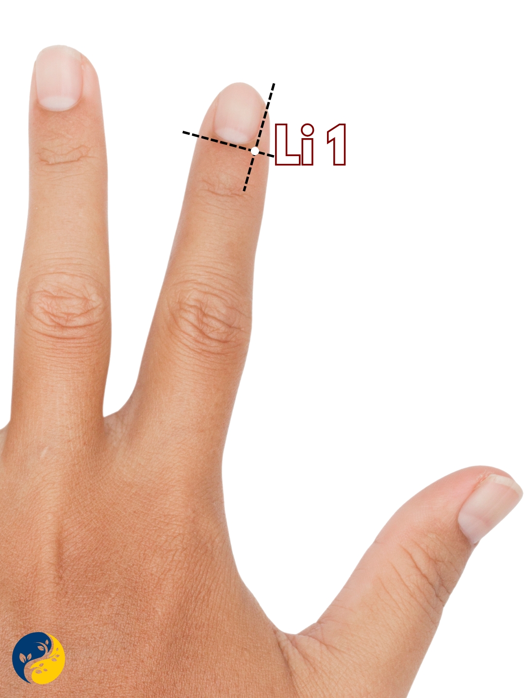 LI1 acupuncture point