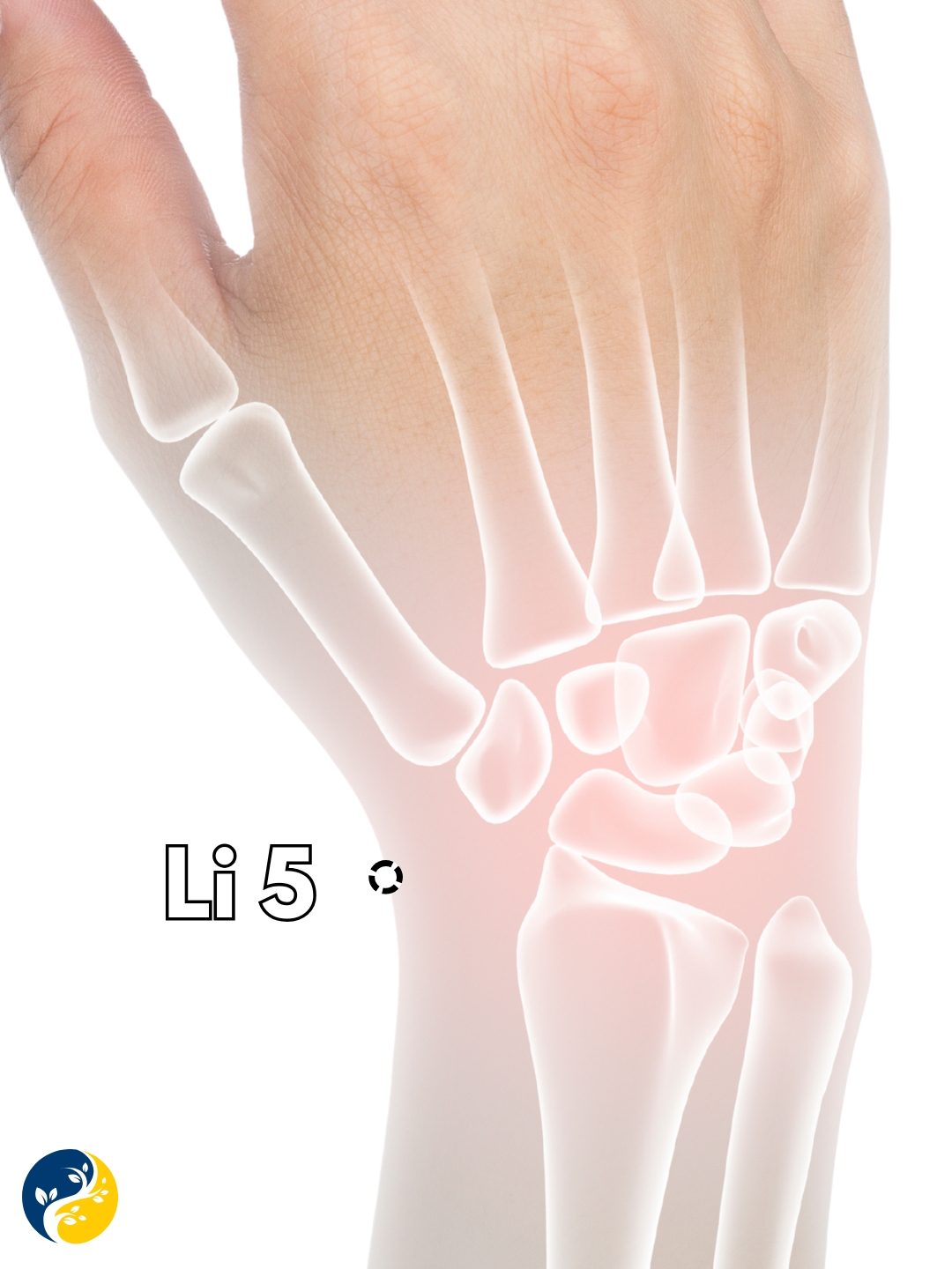 LI5 acupuncture point