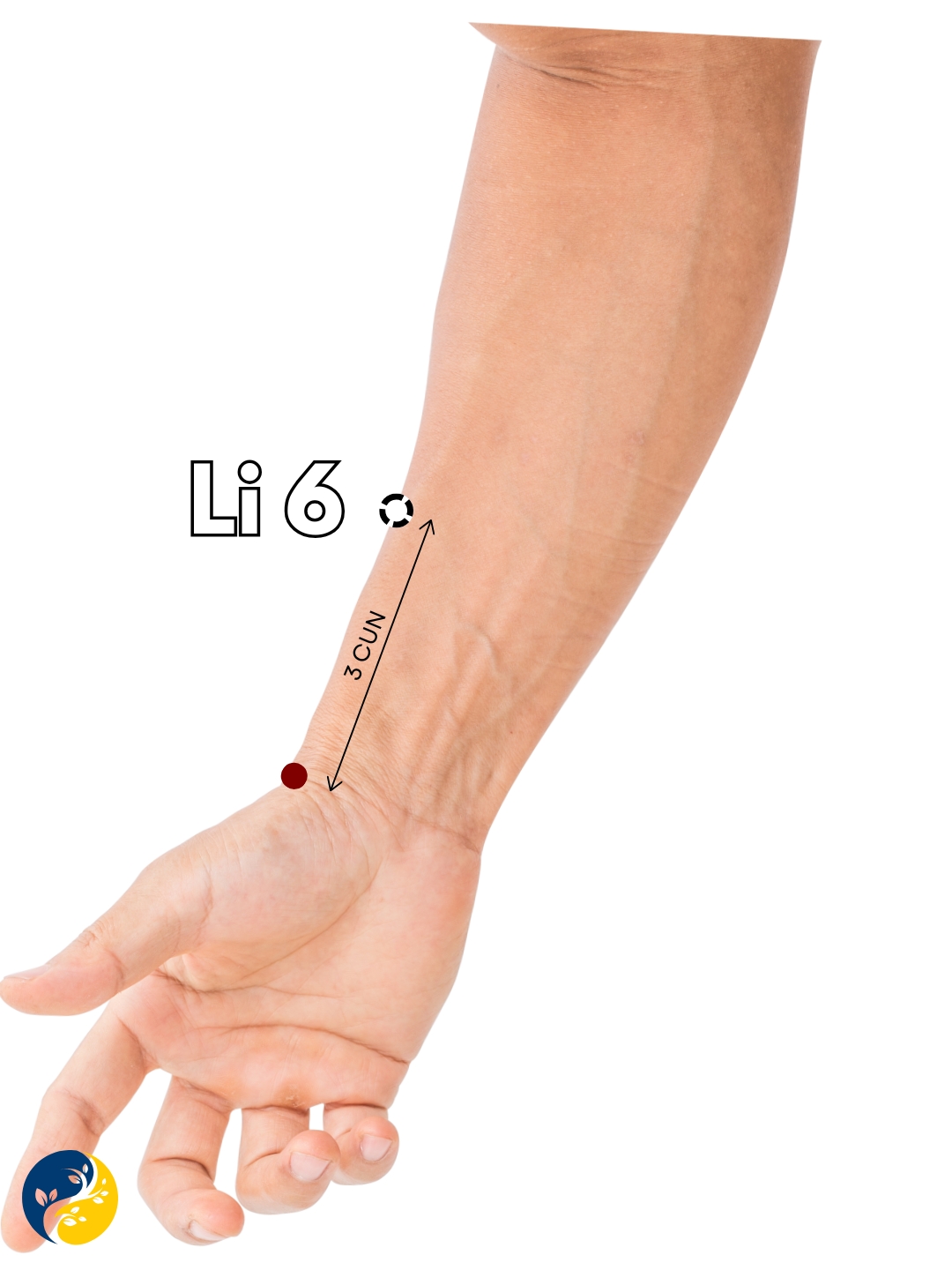 LI6 acupuncture point