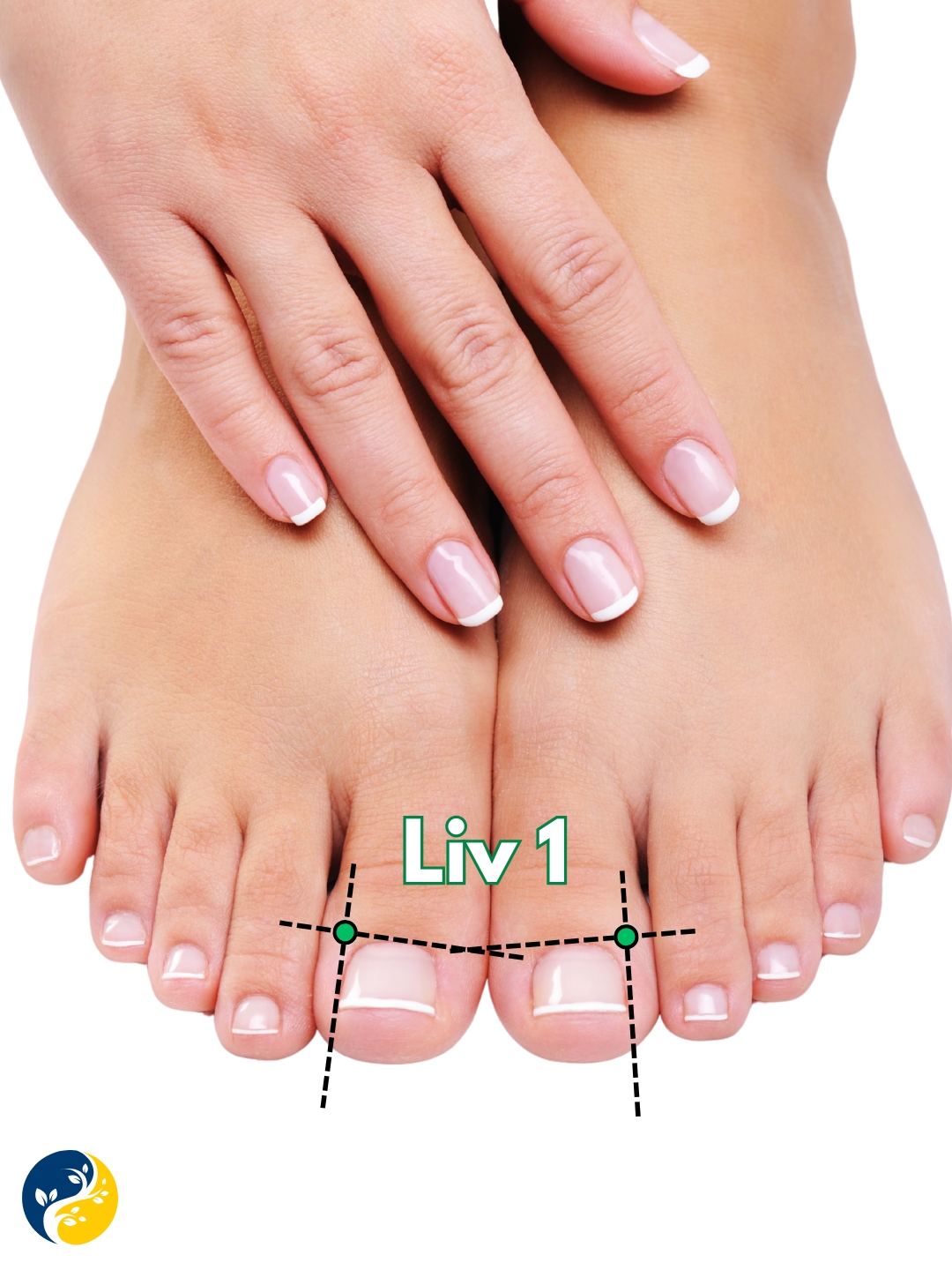 LIV1 acupuncture point