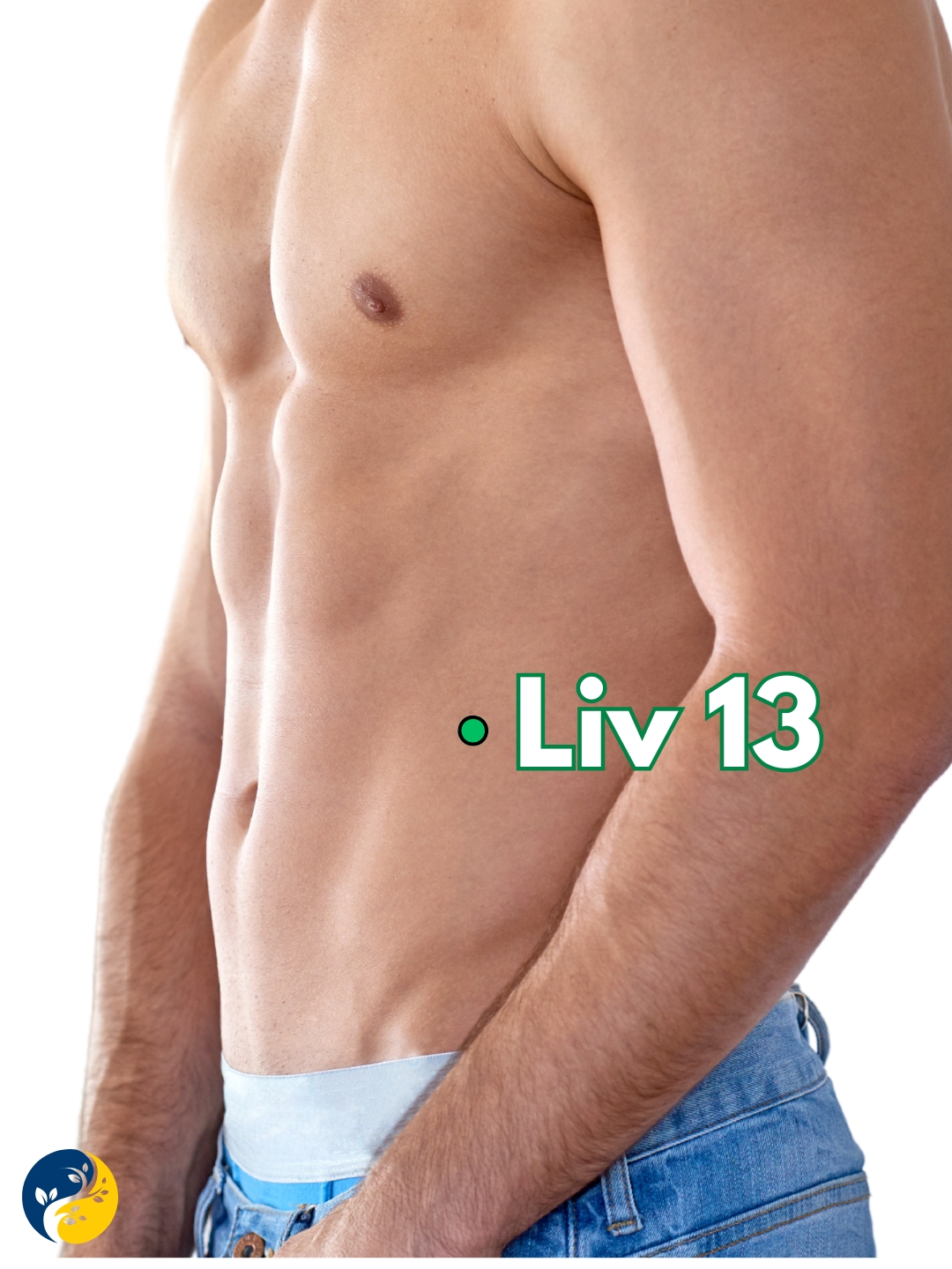 LIV13
