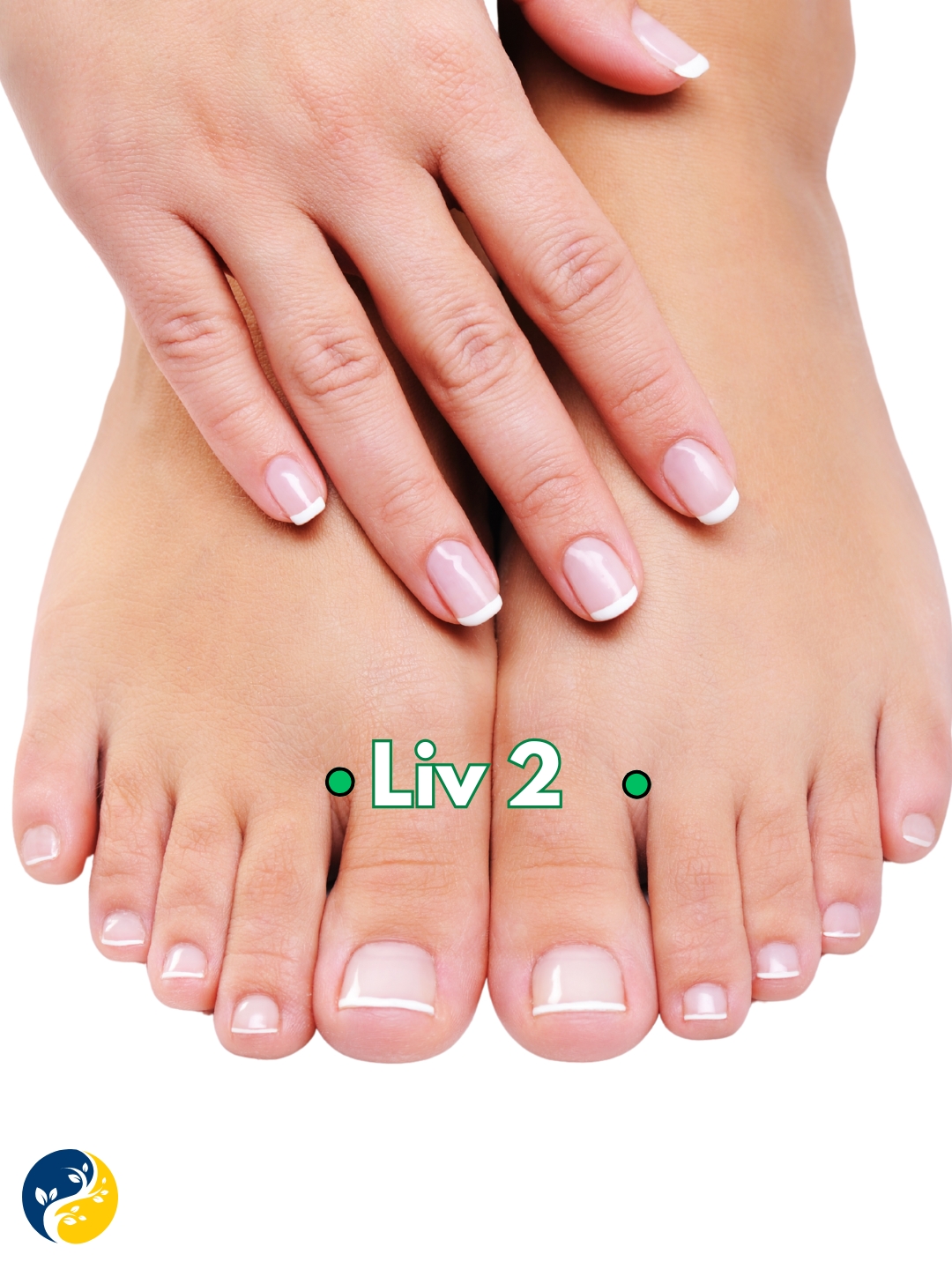 LIV2 acupuncture point