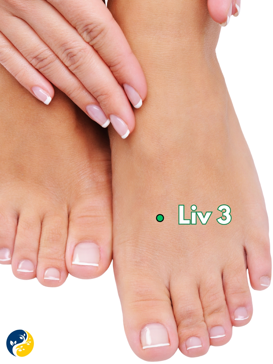 LIV3 acupuncture point