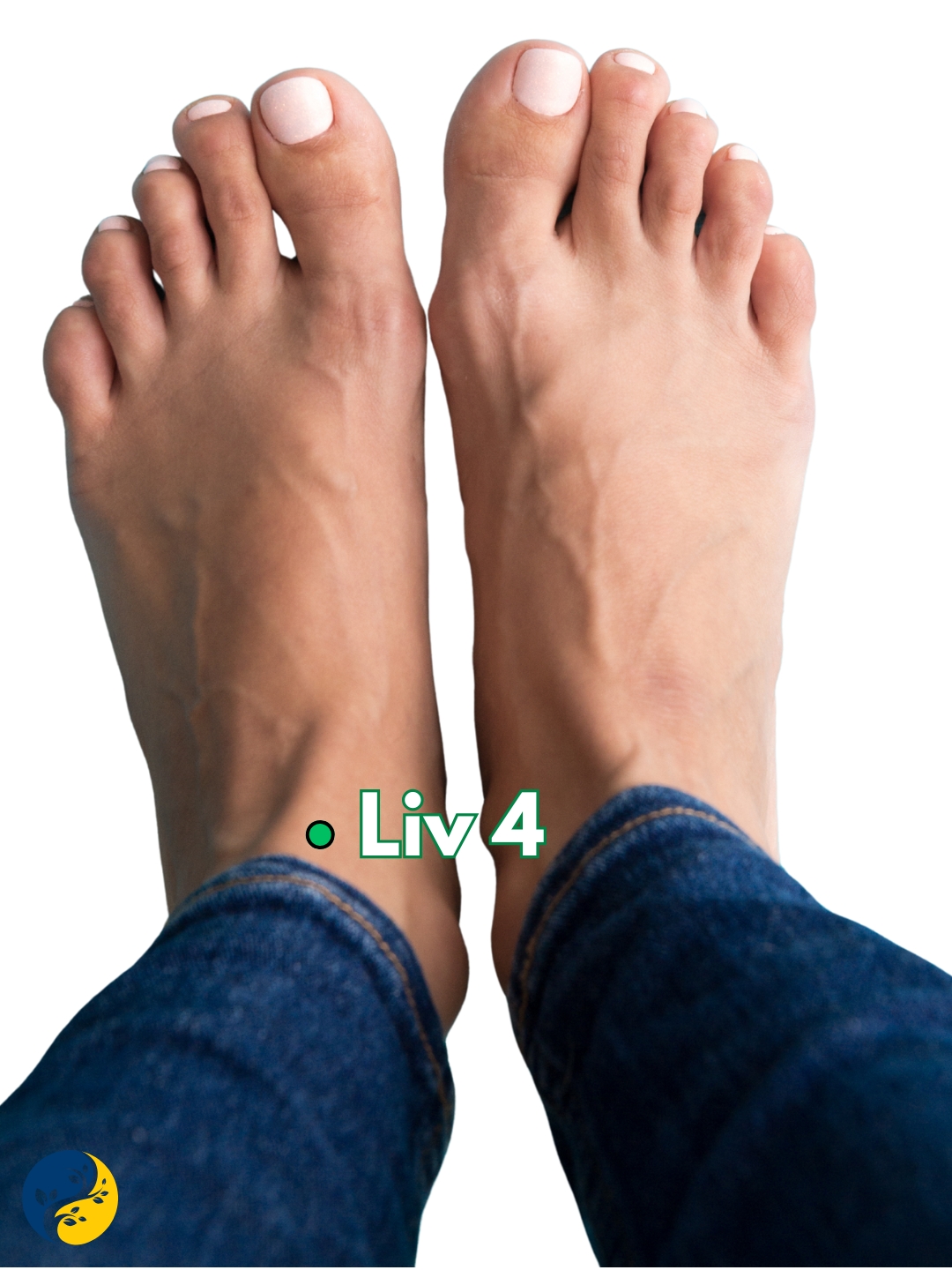 LIV4 acupuncture point