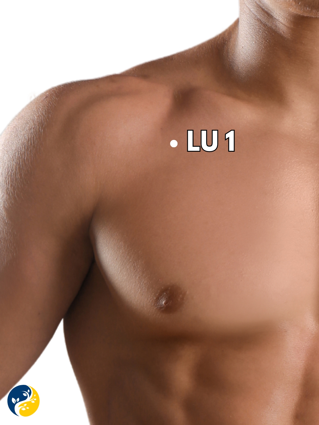LU1 acupuncture point