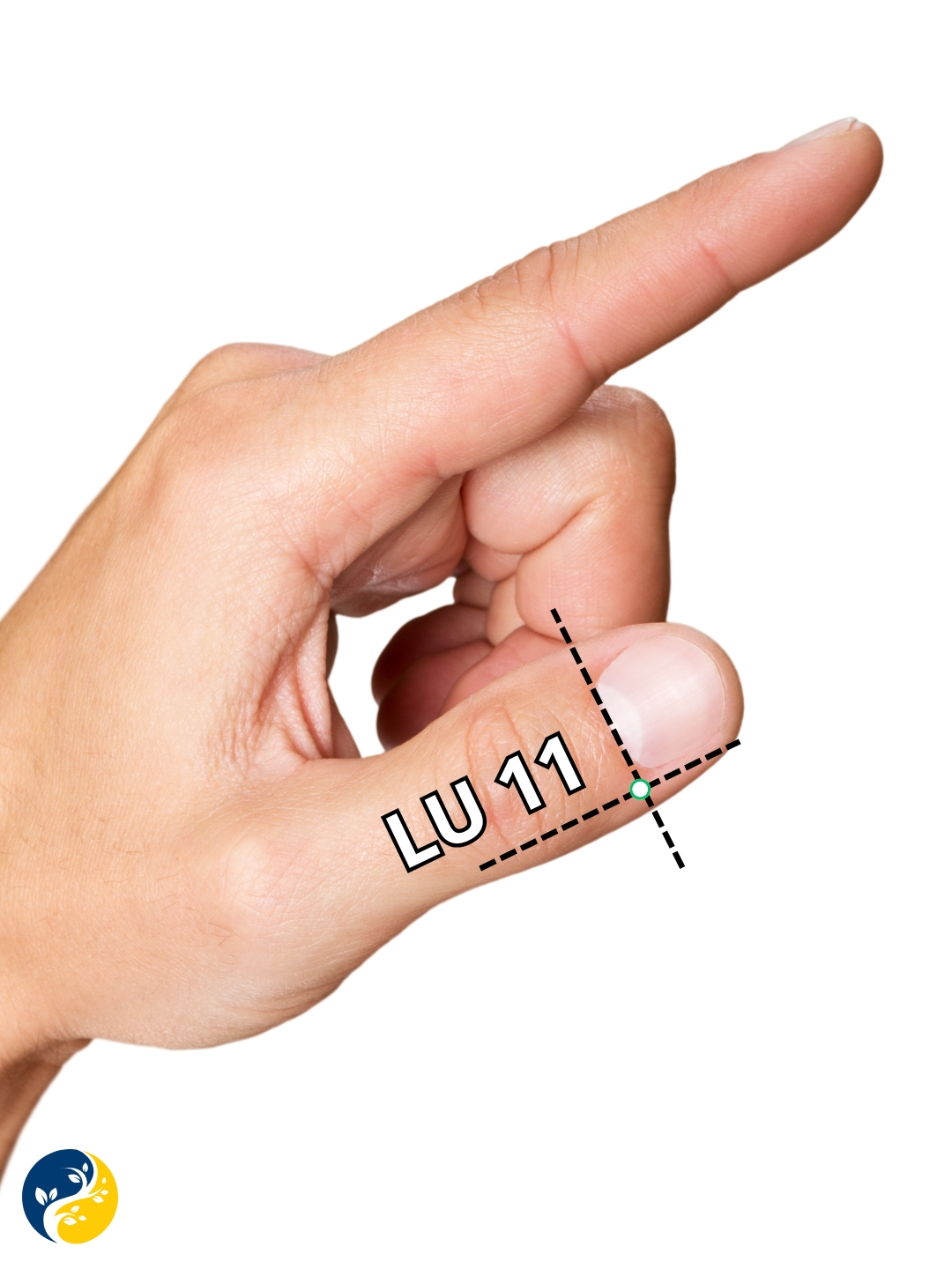 LU11 acupuncture point