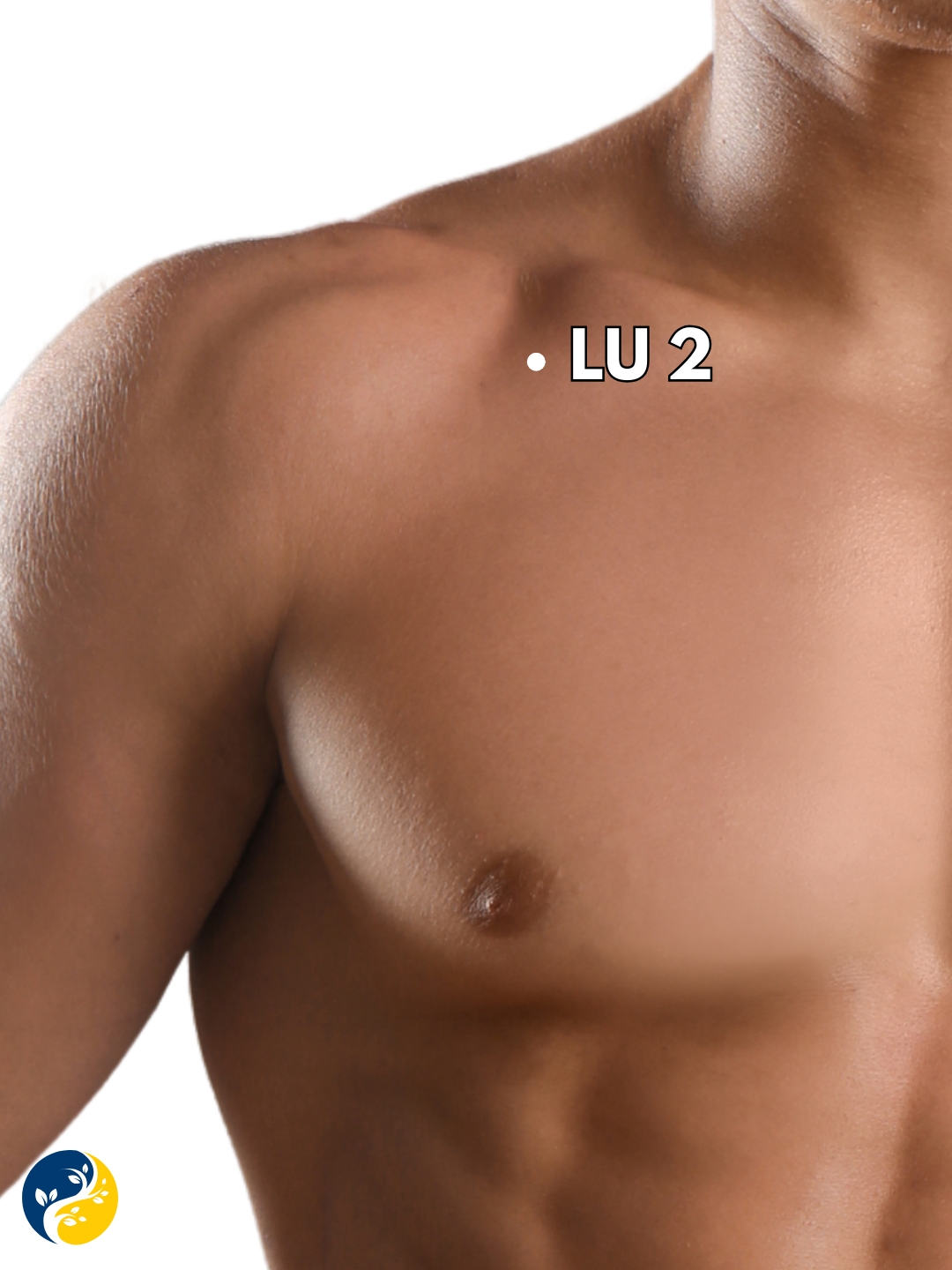 LU2 acupuncture point