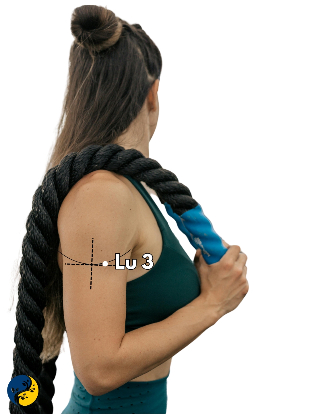 LU3 acupuncture point