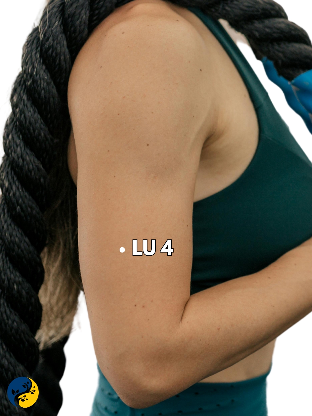 LU4 acupuncture point