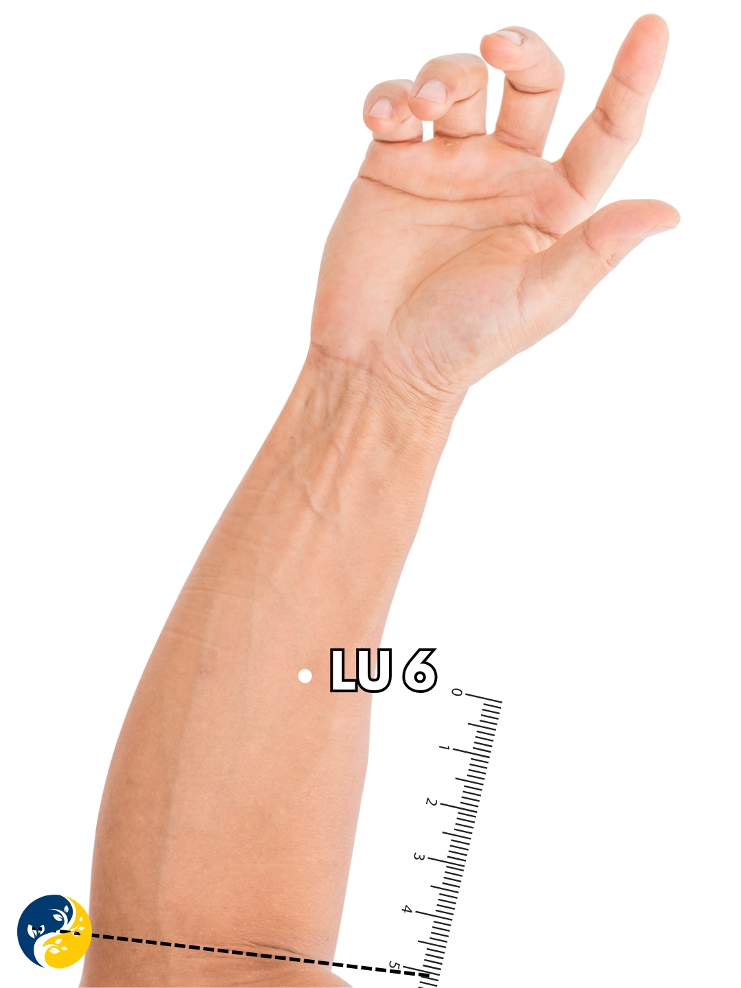 LU6 acupuncture point