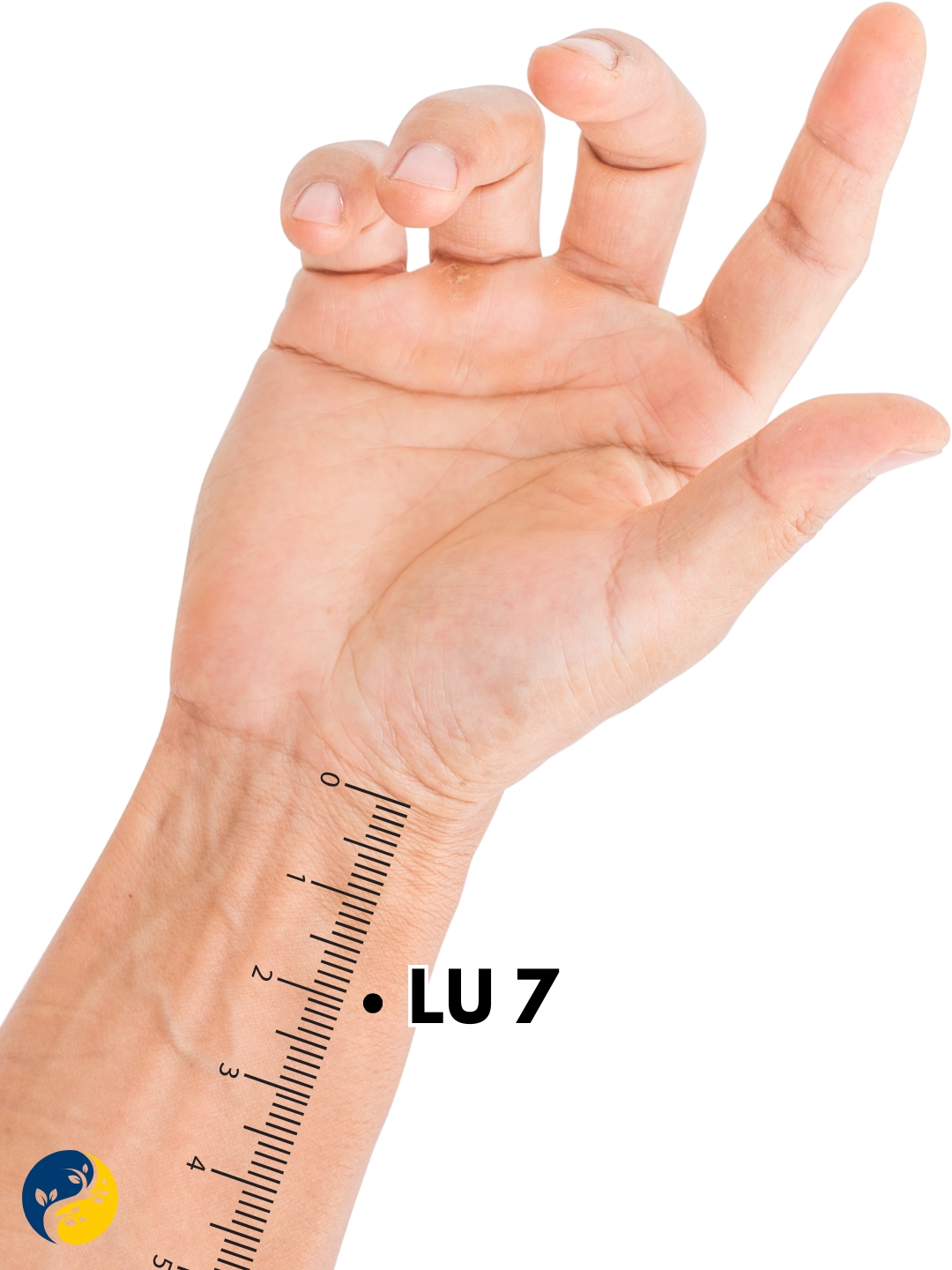 LU7 acupuncture point