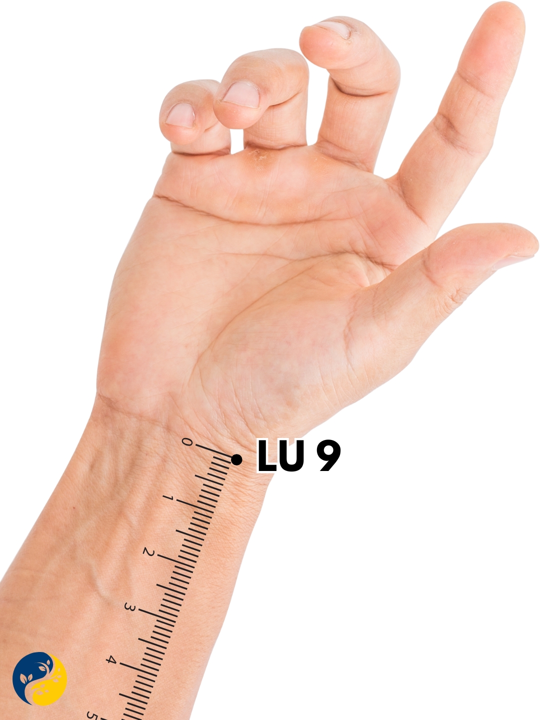 LU9 acupuncture point