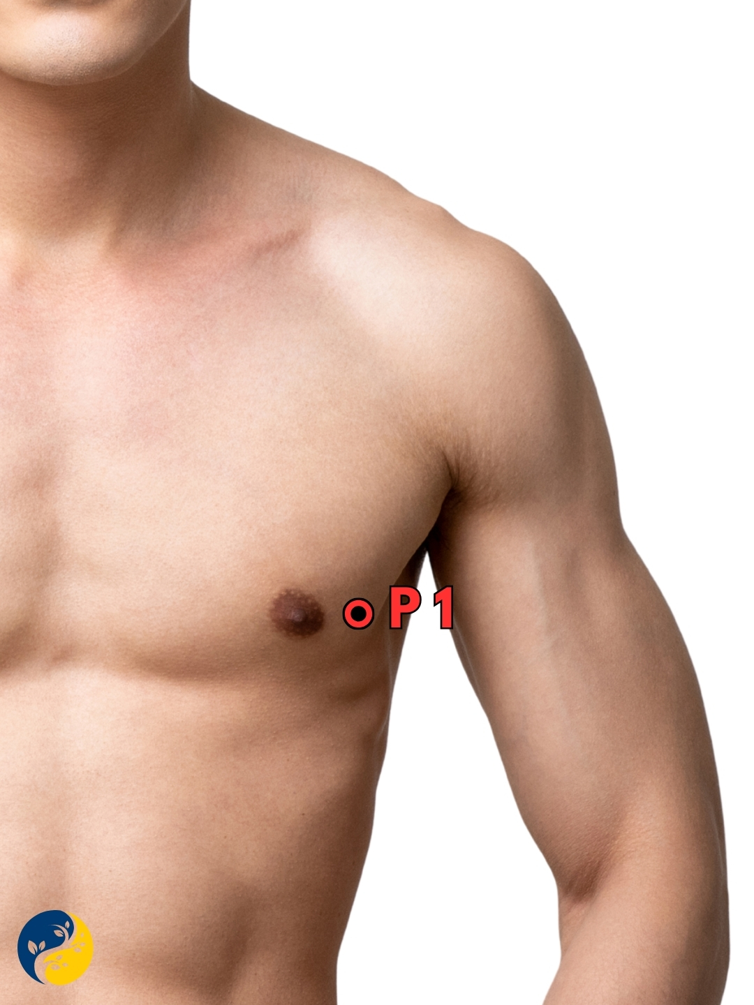 P1 acupuncture point