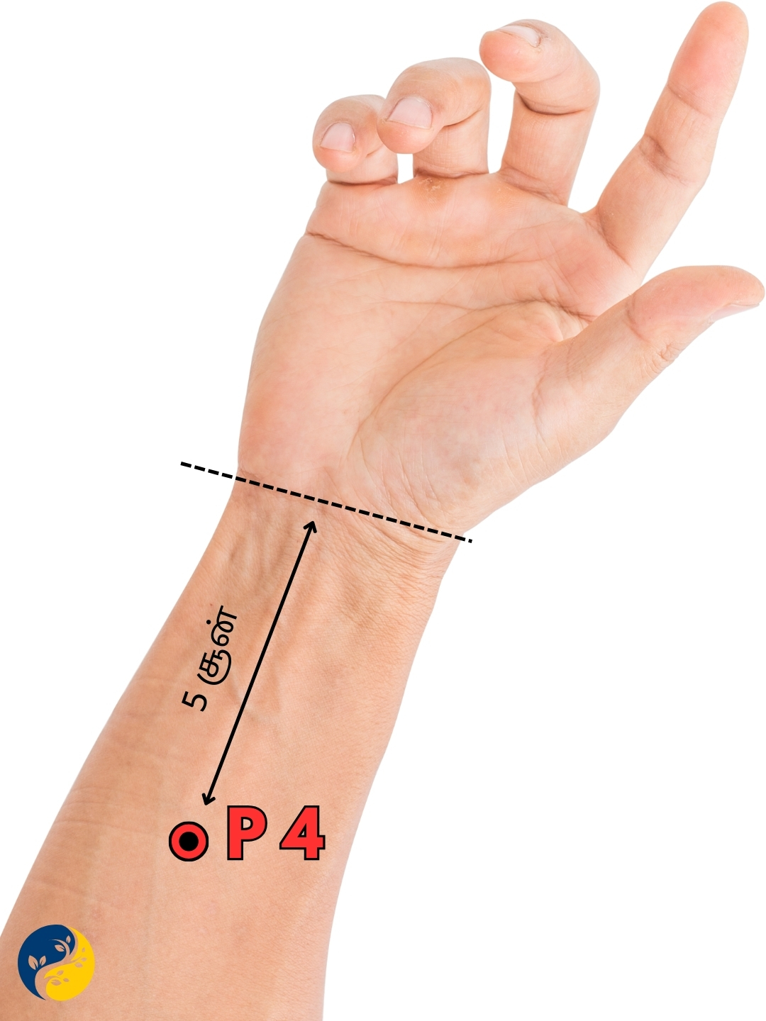 P4 acupuncture point