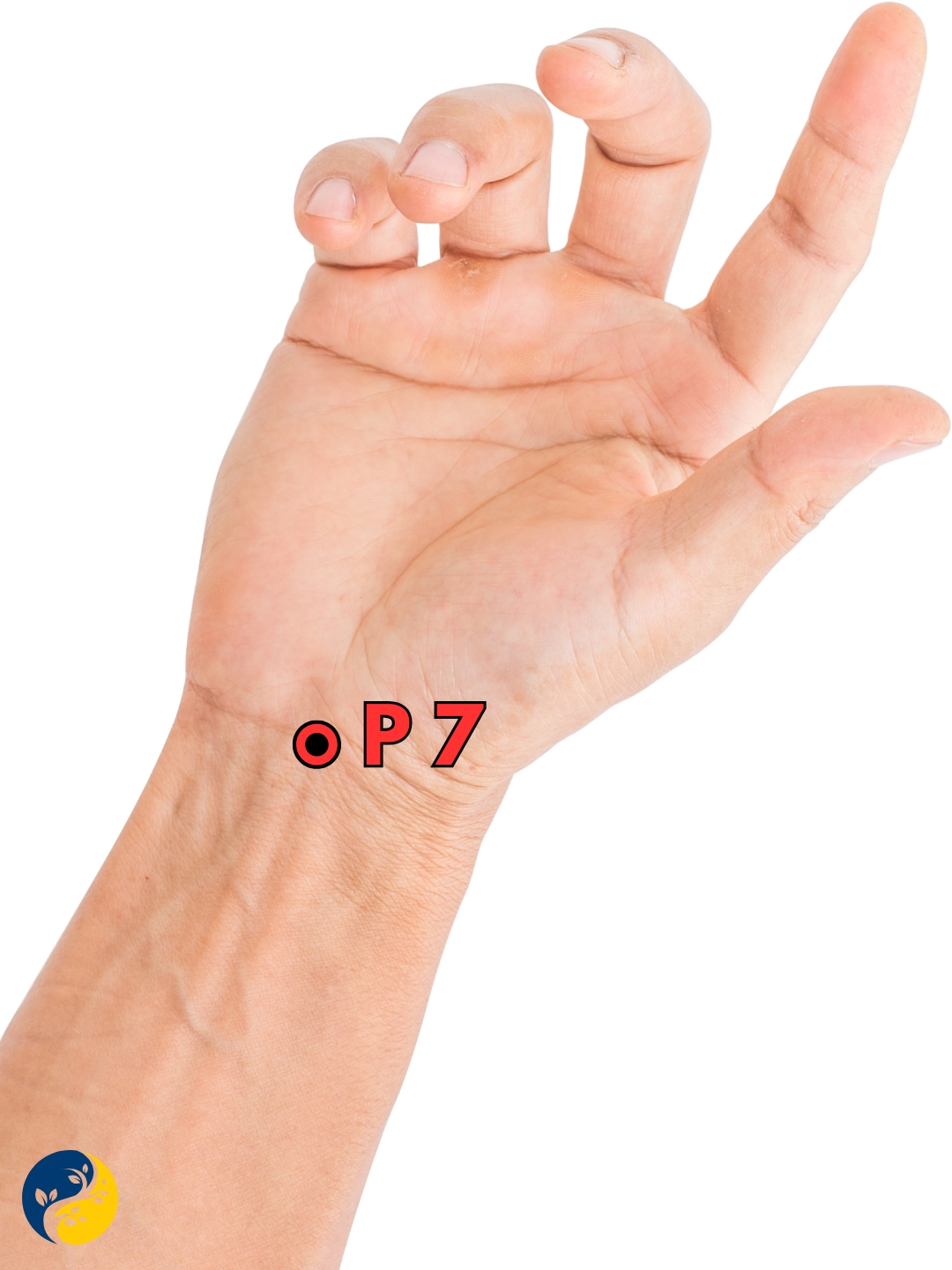 P7 acupuncture point