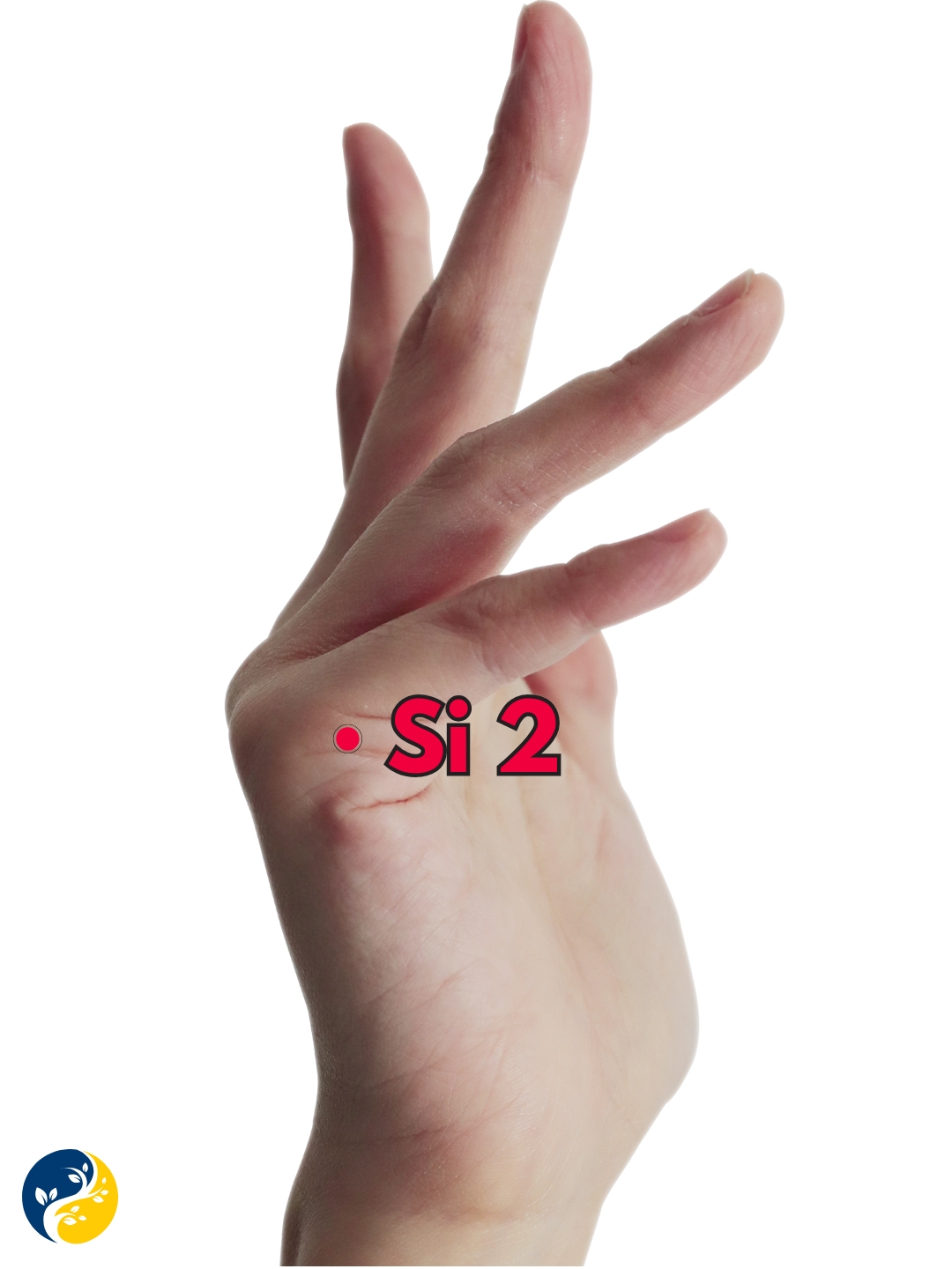 SI2 acupuncture point