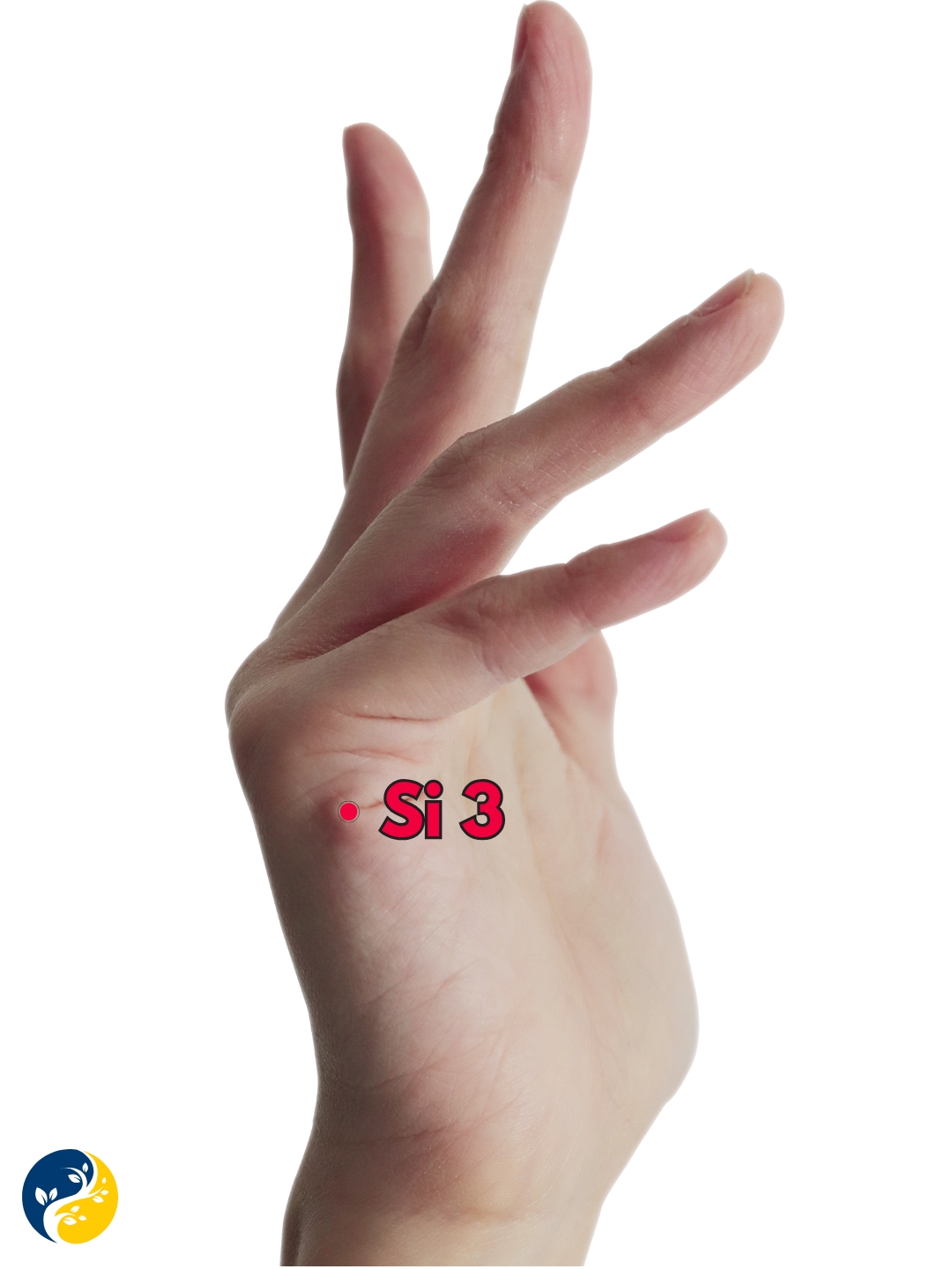 SI3 acupuncture point