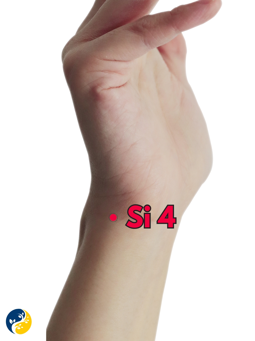 SI4 acupuncture point