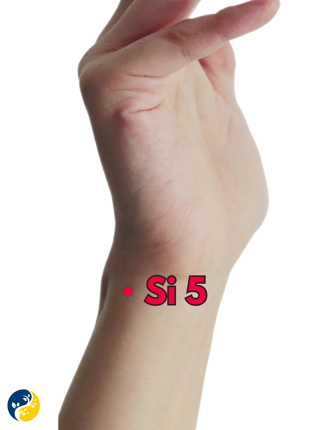 SI5 acupuncture point
