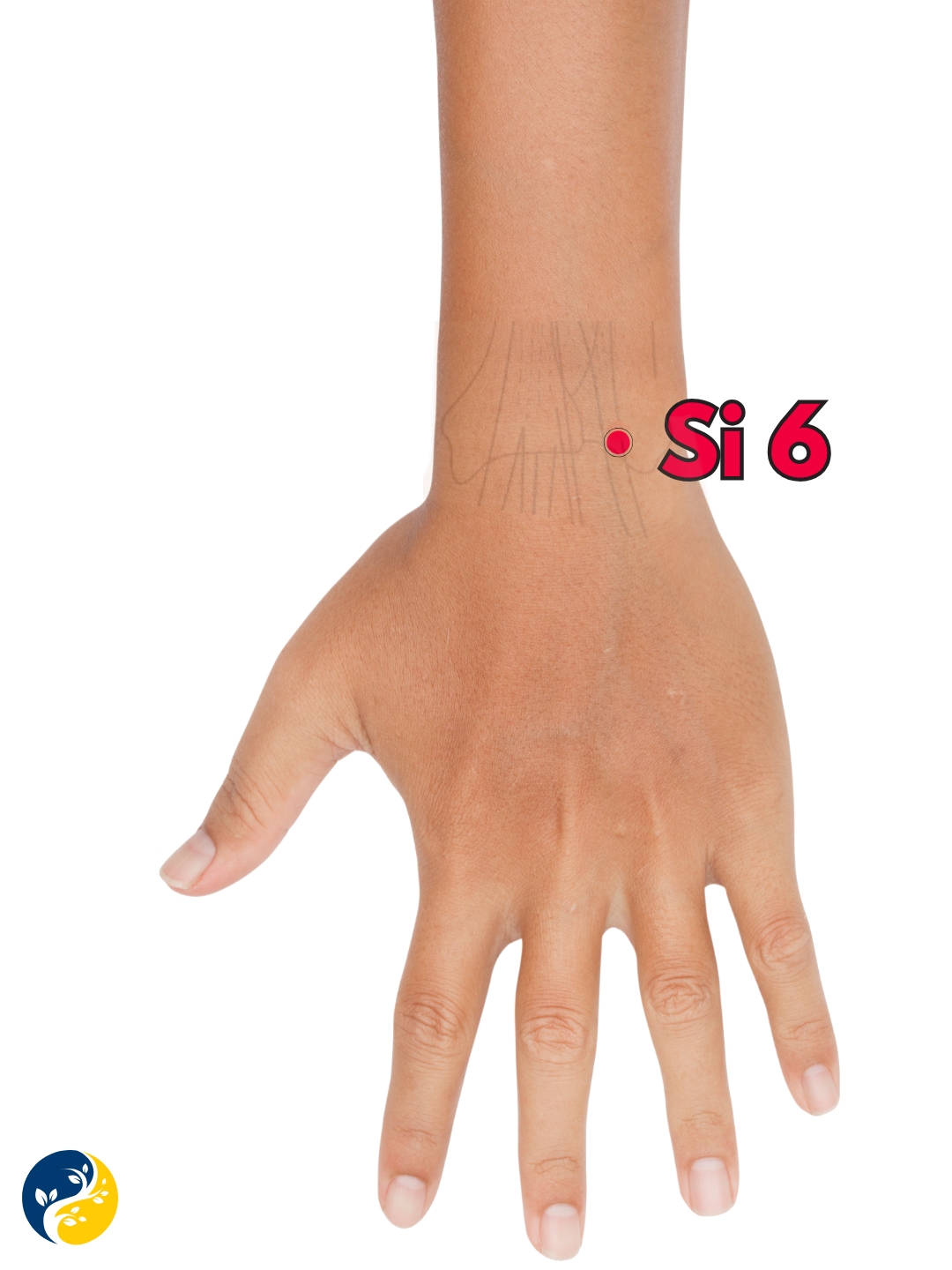 SI6 acupuncture point