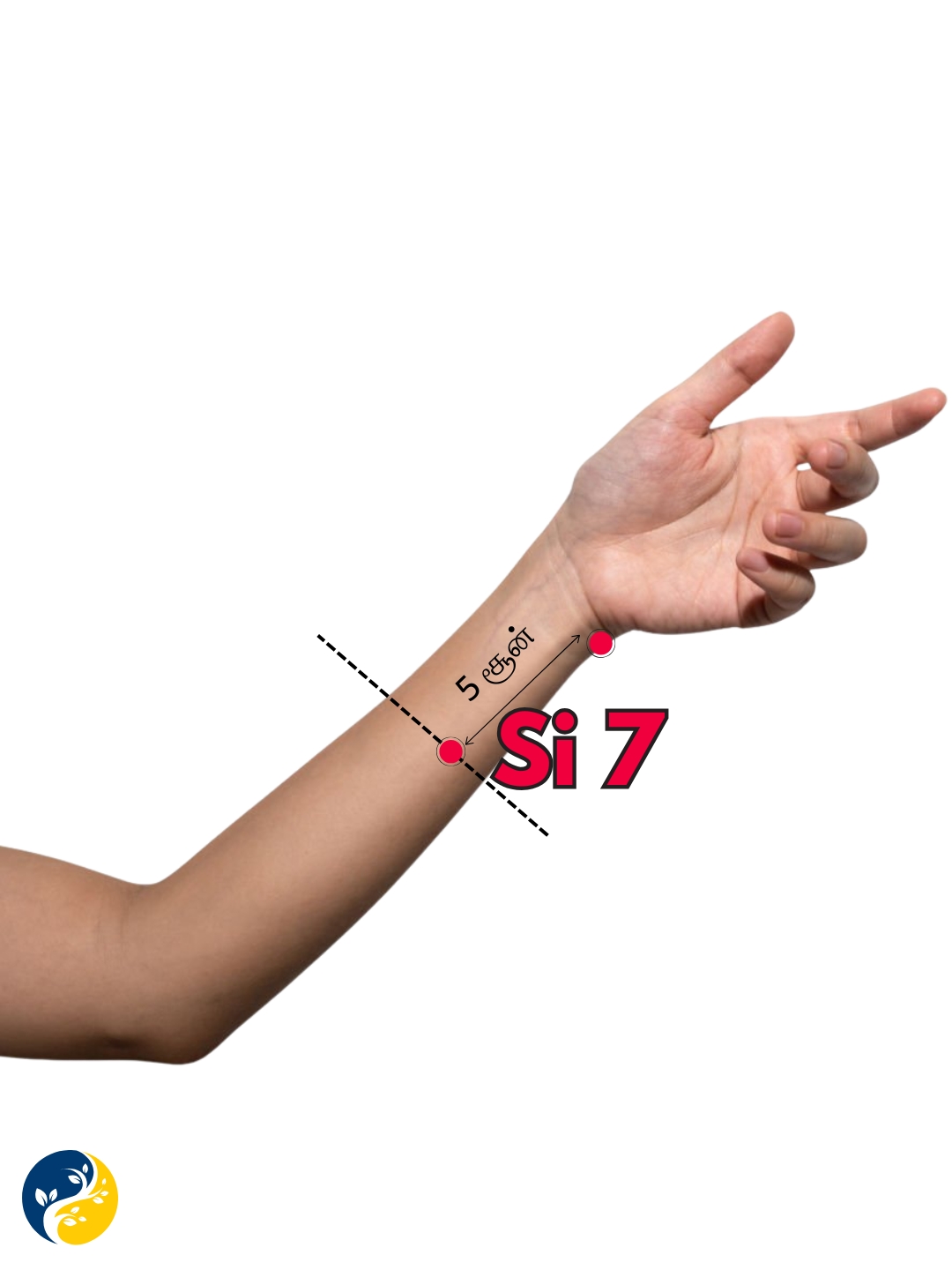 SI7 acupuncture point