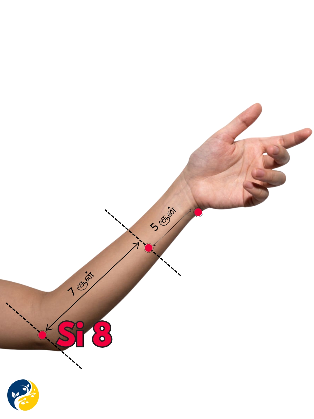 SI8