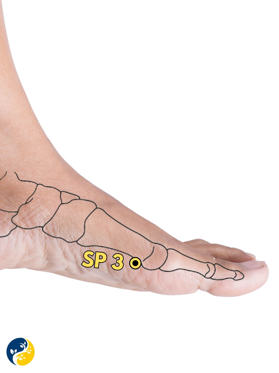 SP3 acupuncture point