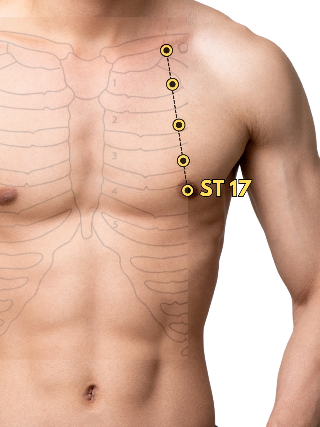 ST17 acupuncture point