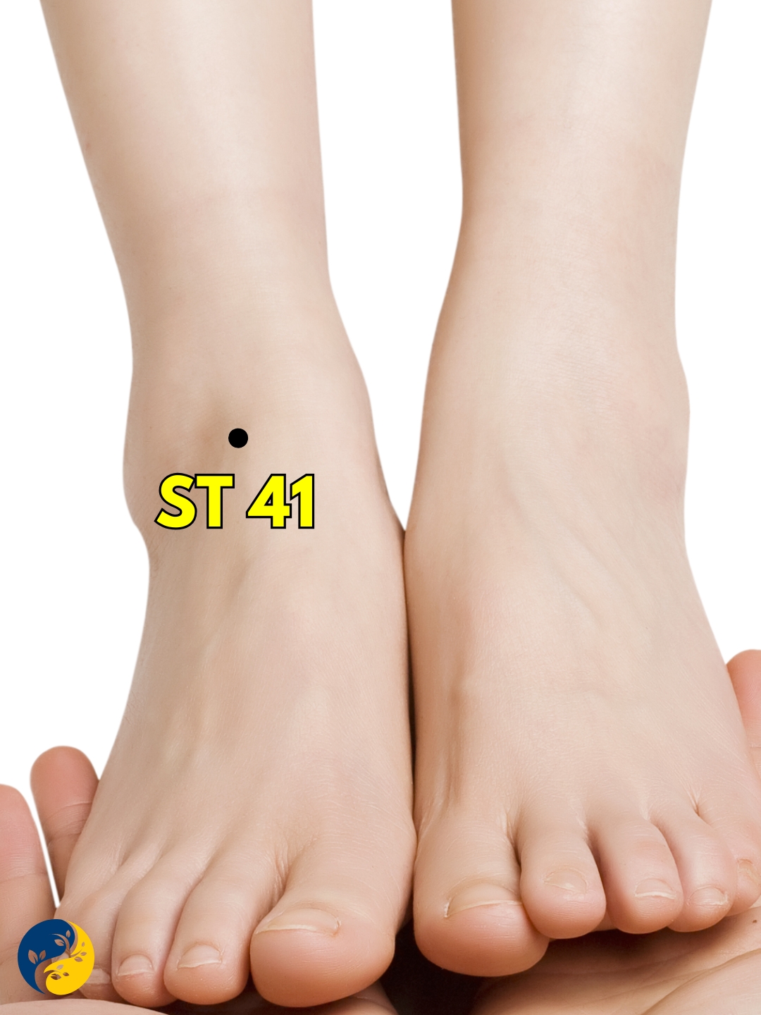 ST41 acupuncture point