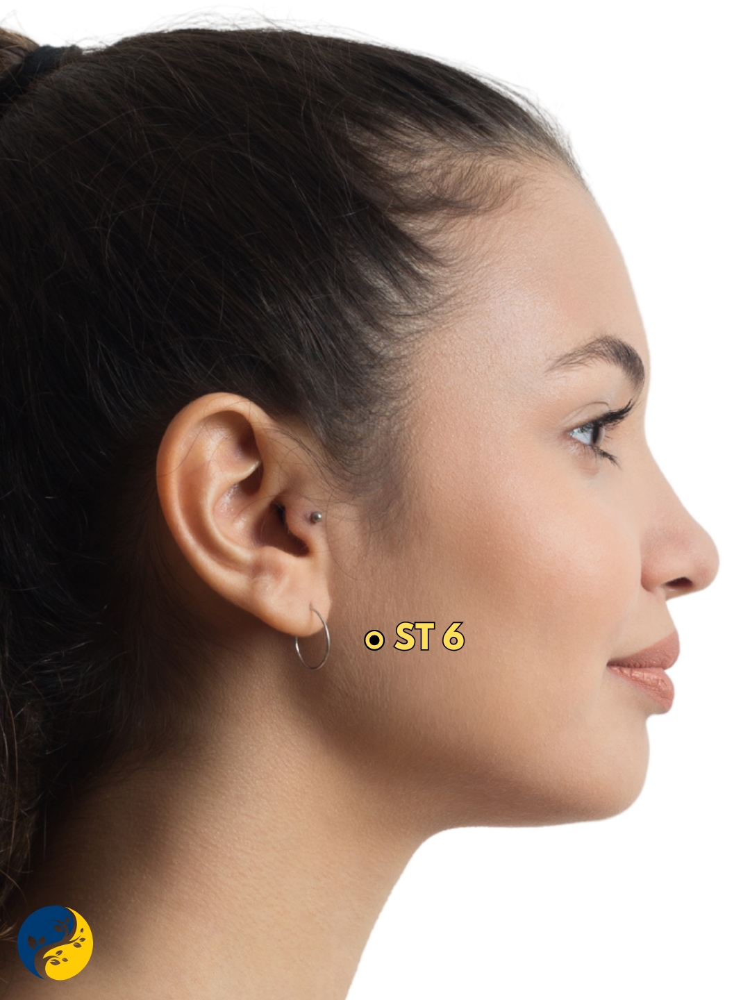 ST6 acupuncture point