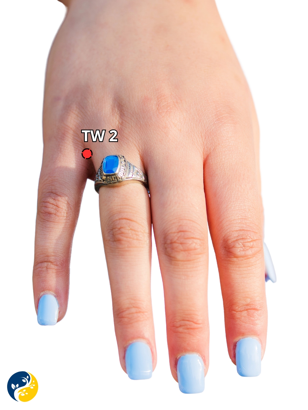 TW2 acupuncture point