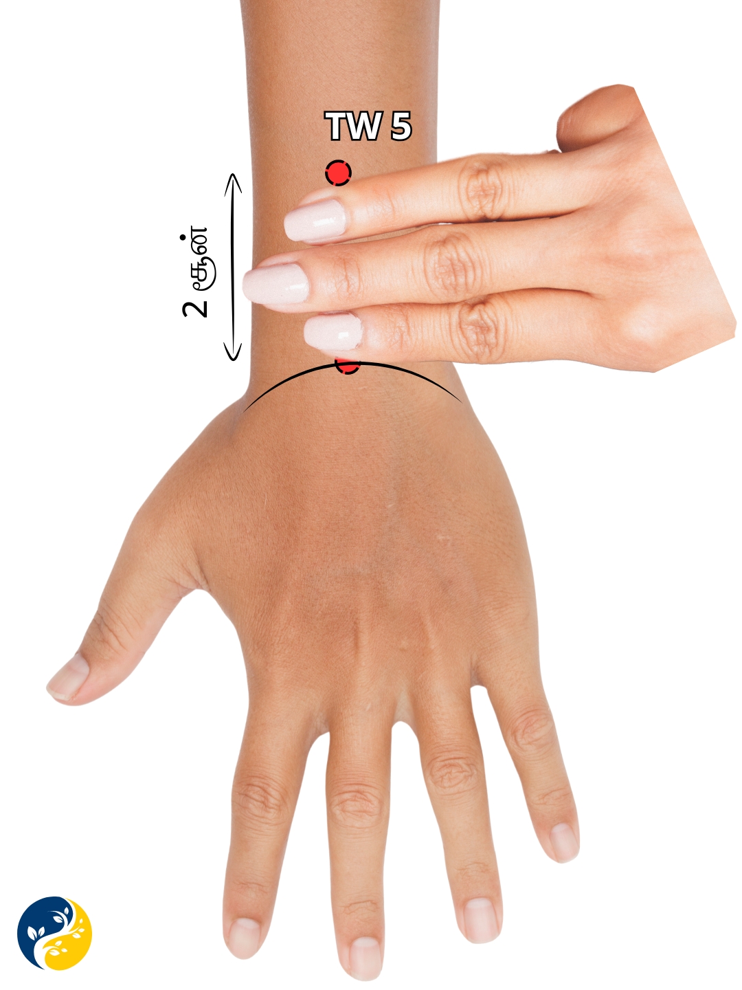 TW5 acupuncture point