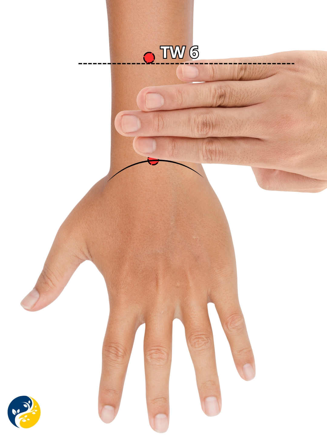 TW6 acupuncture point