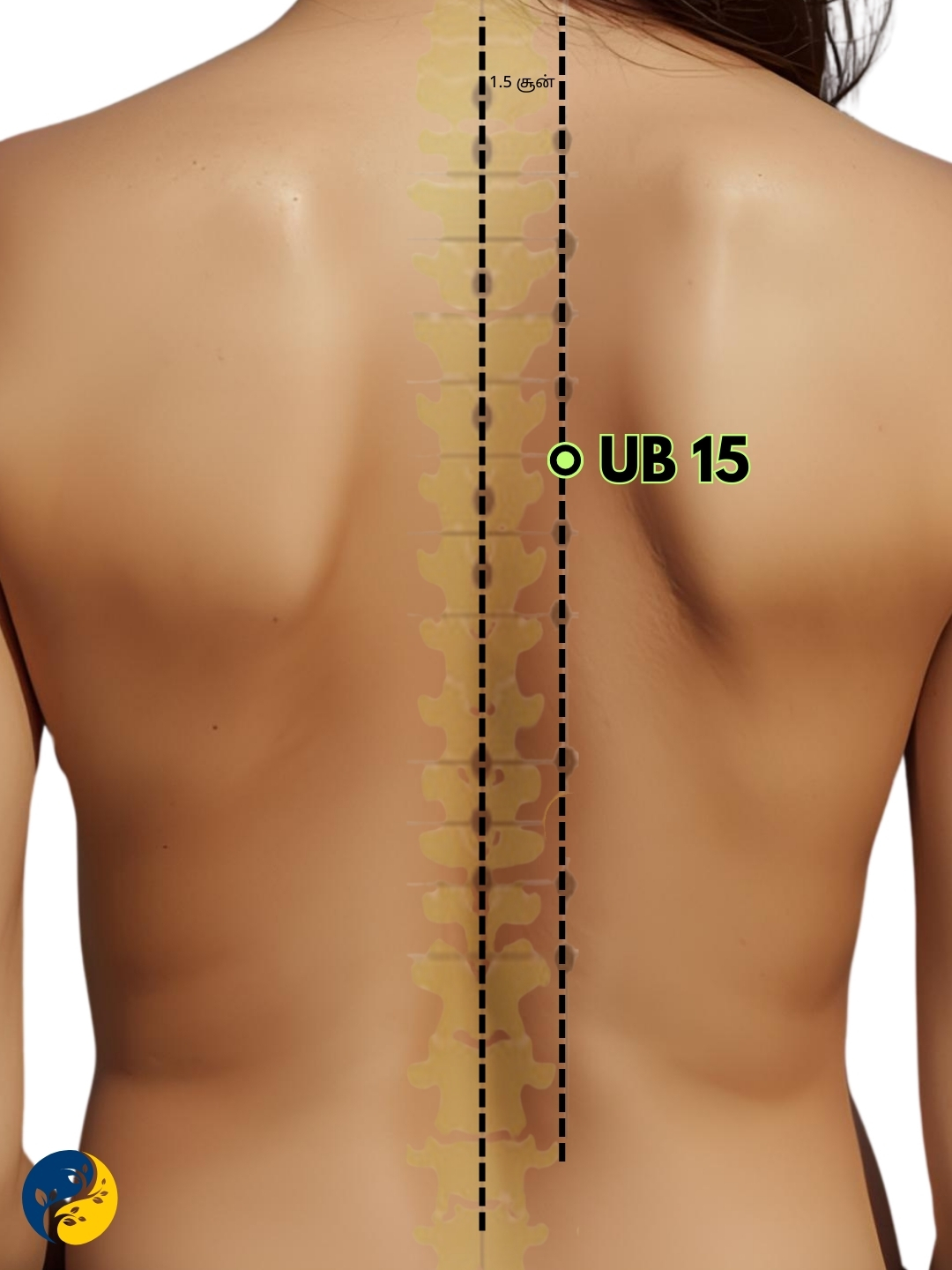 UB15 acupuncture point