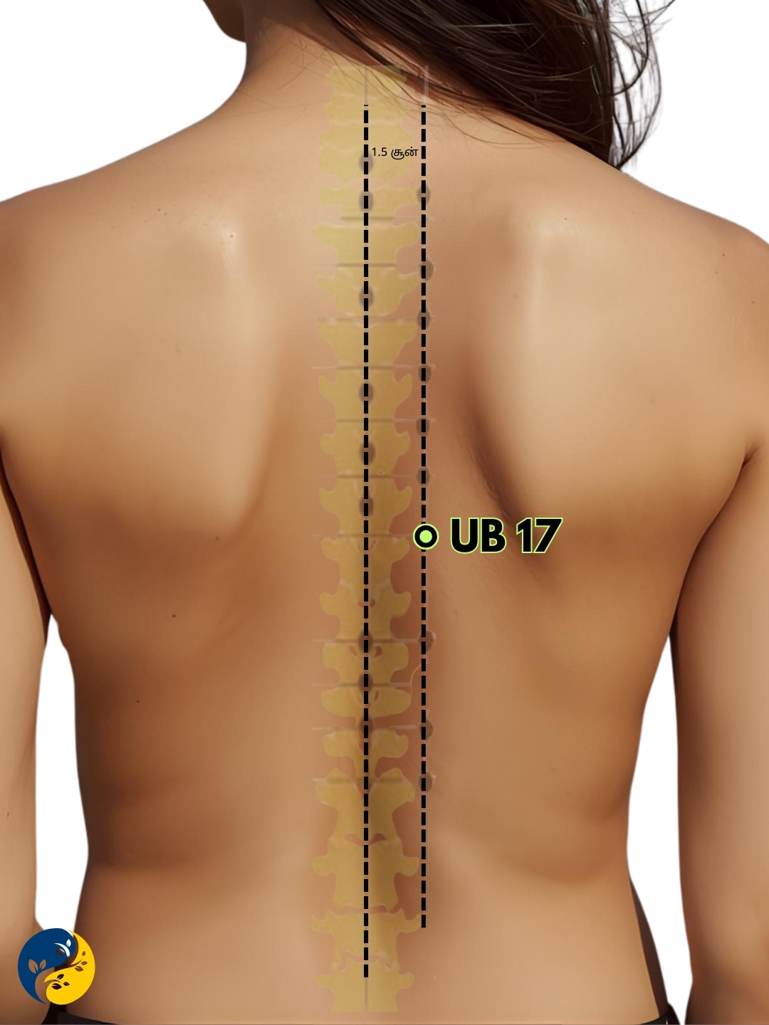 UB17 acupuncture point