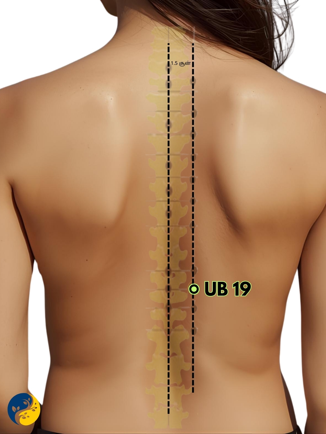 UB19 acupuncture point