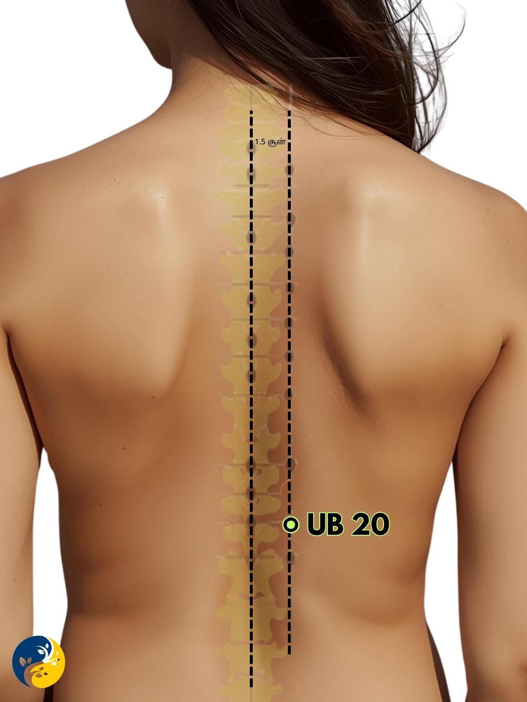 UB20 acupuncture point
