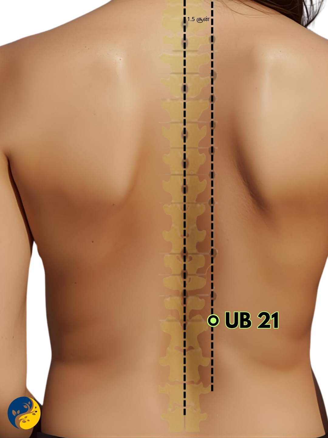 UB21 acupuncture point