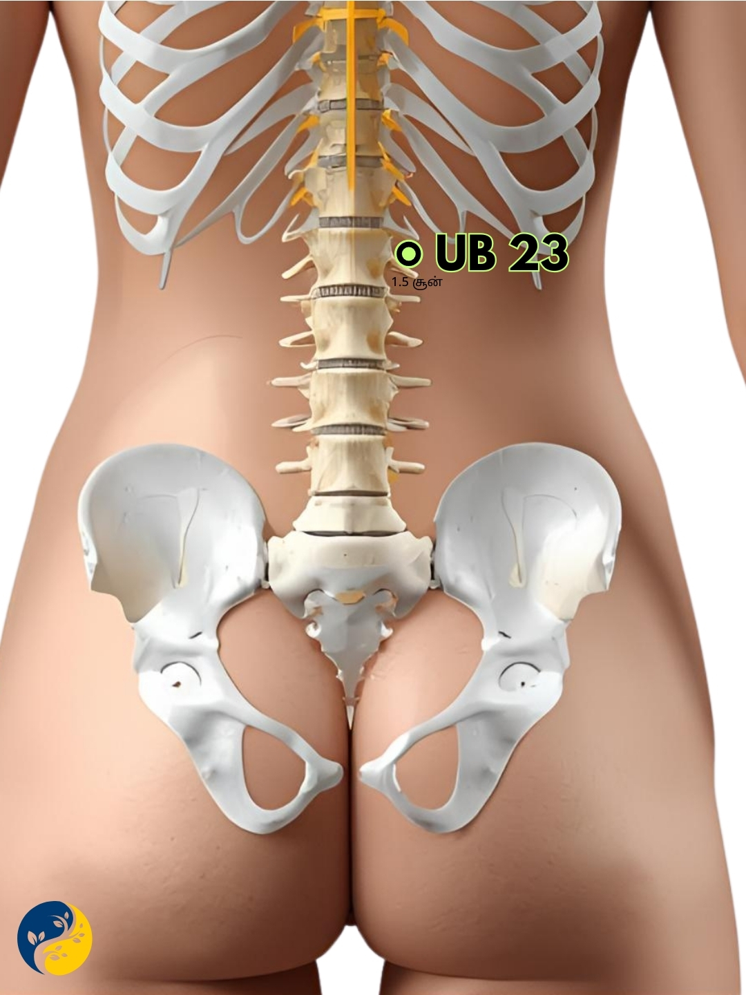 UB23 acupuncture point